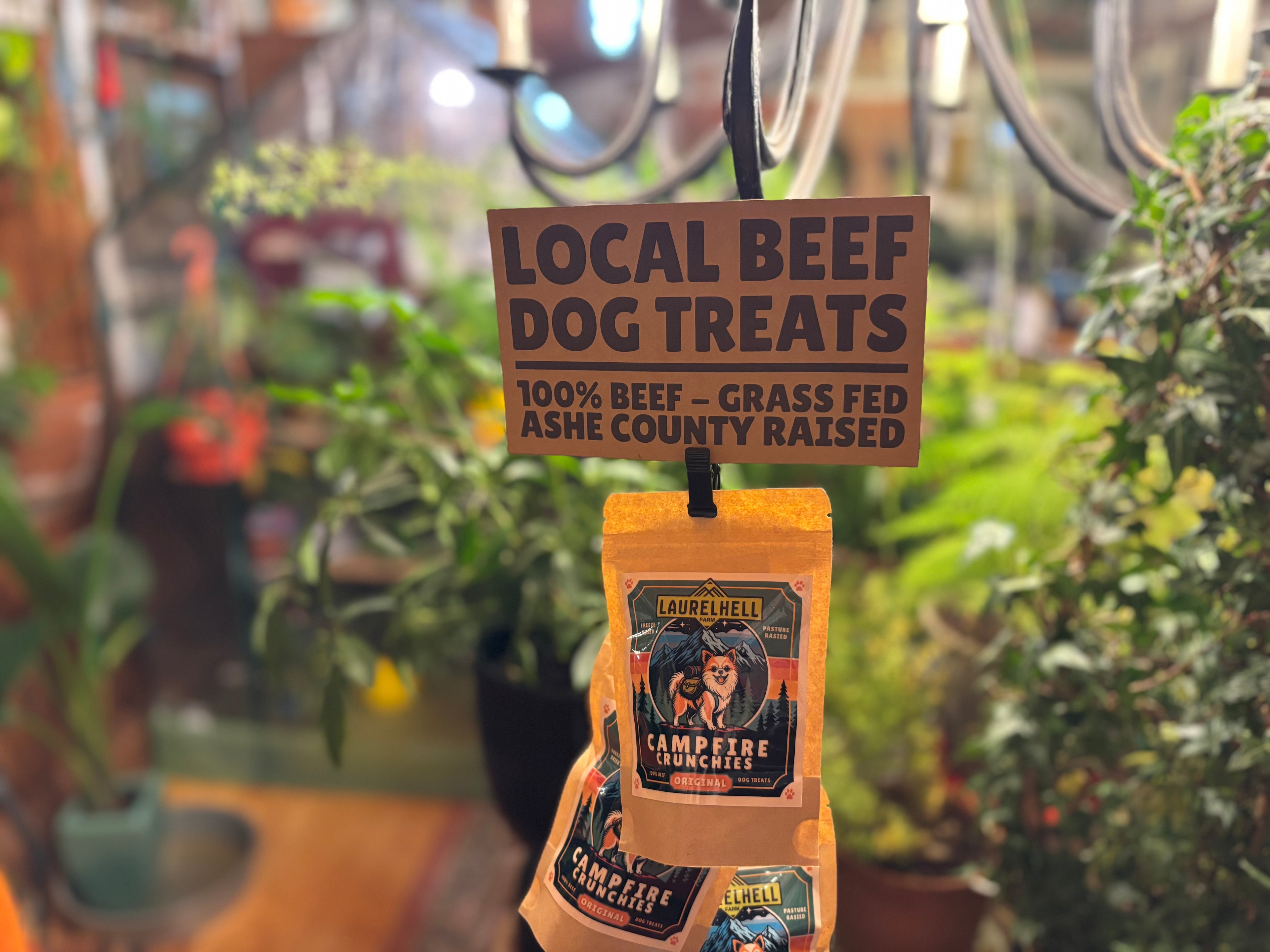 Campfire Crunchies - Freeze Dried Dog Treats